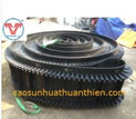 Băng tải cao su tai bèo