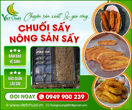 	VIệT CHUốI - CÔNG TY TNHH SảN XUấT THươNG MạI NGA ANH ĐIềN