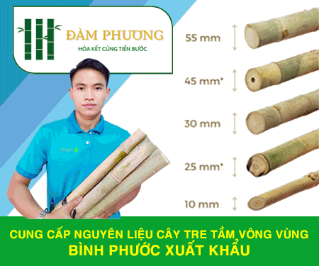 Cơ Sở TRE TầM VÔNG ĐÀM PHươNG