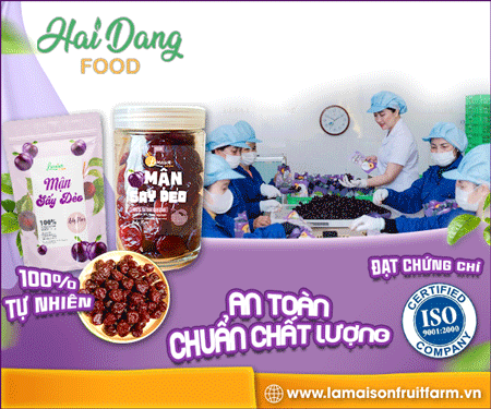 CÔNG TY TNHH CÔNG NGHệ THựC PHẩM HảI ĐăNG