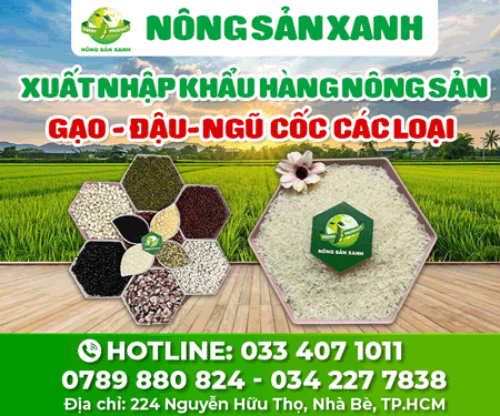 CÔNG TY Cổ PHầN XUấT NHậP KHẩU CHế BIếN NÔNG SảN XANH