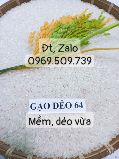 Gạo 64 thơm