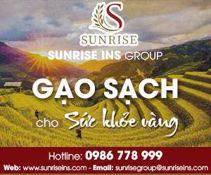 CÔNG TY TNHH SUNRISE INS