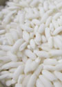 Glutinous rice