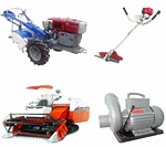 Công Ty TNHH Thương Mại Dịch Vụ Xuất Nhập Khẩu Đức Thịnh