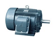 Động cơ phòng nổ Teco