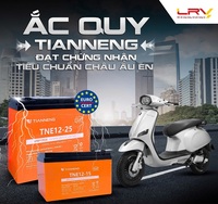 ắc quy xe điện Thiên Năng