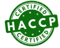 Chứng chỉ chứng nhận