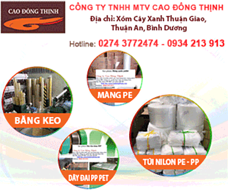 CÔNG TY TNHH MTV CAO ĐÔNG THịNH