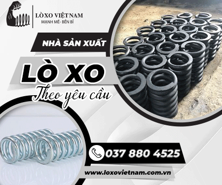 CÔNG TY TNHH LÒ XO VIệT NAM