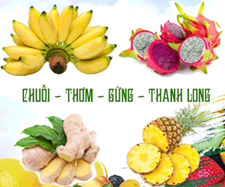 CÔNG TY TNHH THươNG MạI XUấT NHậP KHẩU SAO KHUÊ