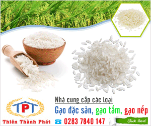 CÔNG TY TNHH SảN XUấT THươNG MạI XUấT NHậP KHẩU THIÊN THÀNH PHÁT - GạO