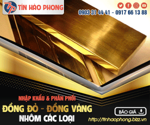 CÔNG TY TNHH THươNG MạI DịCH Vụ TÍN HÀO PHONG