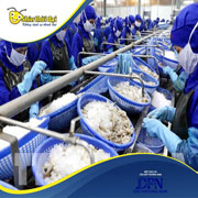 Cung ứng lao động nhà máy sản xuất