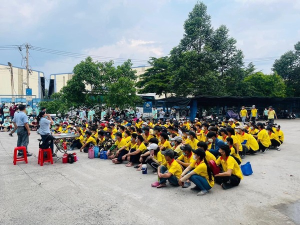 Cung ứng và cho thuê lao động