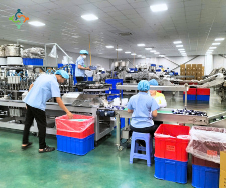 Dịch vụ cung ứng nhân sự