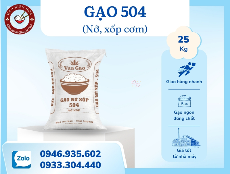 Gạo 504