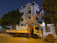 Dịch vụ bốc xếp hàng hóa